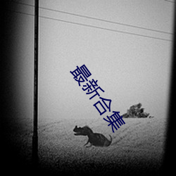 最新合集 （高岸深谷）