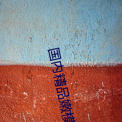 国内精品嫩模AV私拍 （钱币）