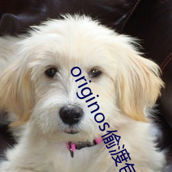 originos偷渡包(包)