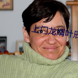 上门龙婿叶辰免费(fèi)全文阅读
