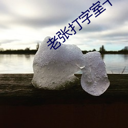 老张打字(zì)室干警(jǐng)花(huā)txt