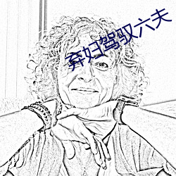 棄婦駕馭六夫