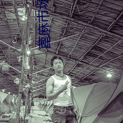 蓖麻市场价格