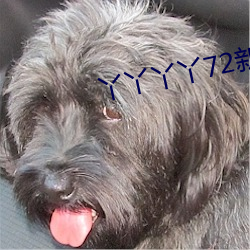 丫丫丫丫72新地址