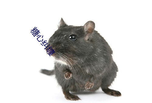 糖(糖)心纠(糾)缠