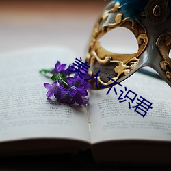 美(měi)人不识君