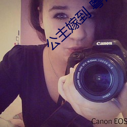 公主(主)嫁(嫁)到 粤语(語)