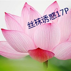 丝袜诱惑17P