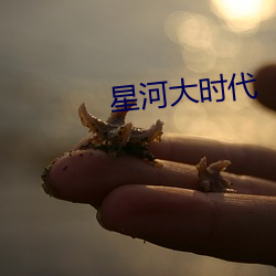 星河大时代