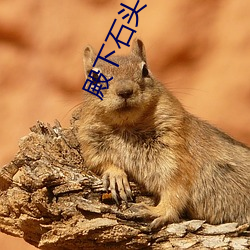 殿(diàn)下石头与(yǔ)水(shuǐ)