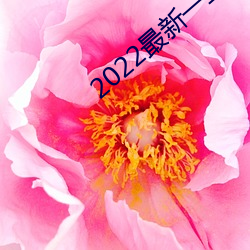 2022最新一二三四五六