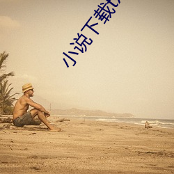 小说下载txt