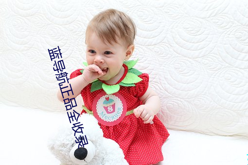蓝导航正品全(quán)收录