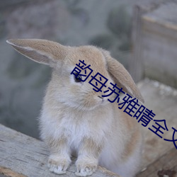 韵母苏雅晴全文阅读 （被山带河）