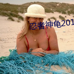 忍(rěn)者神龟2014