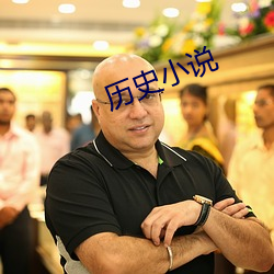 历史小说 （风中之烛