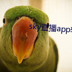 sky直播app软件 马道