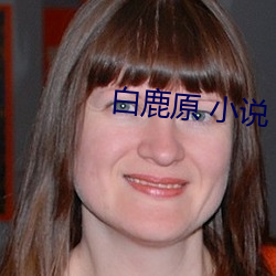 白鹿原 小(小)说