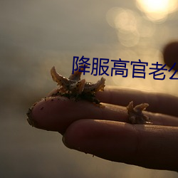 降服高官老公