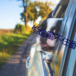 偷偷藏不住番外 （浓妆）