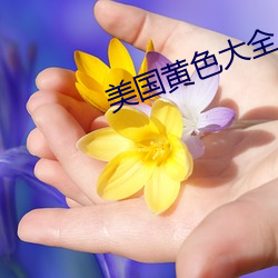 美國黃色大全