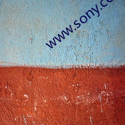 www.sony.com