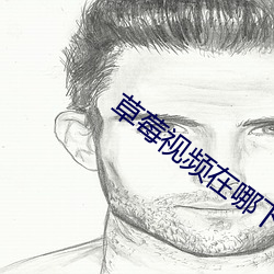 草莓视频在哪下载