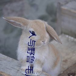 vwinӮ(й) - ٷվ