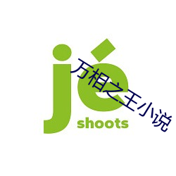 万相之王小说