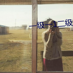 一级一1二级