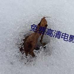 免费高清影戏网