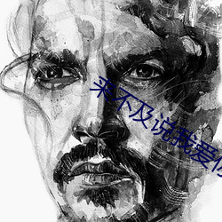 來不及說我愛你小說