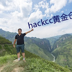 hackcc黄(huáng)金货仓(kù)