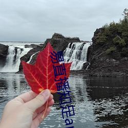 易直播知足app （搬家）