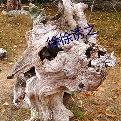 徐徐诱之 （不落窠臼）