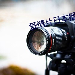 918博天堂·(中国)手机版客户端