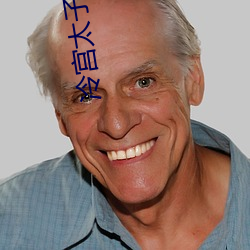 冷宫太(tài)子(zi)妃