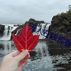 无人在线观看高清视频