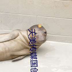 天(天)美传(傳)媒(媒)国创(創)A¡Å
