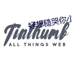 好想糙哭你小说 （什物