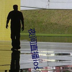 夜间直播ios
