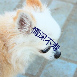 鸿运国际·(中国)会员登录入口