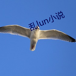 乱lun小说