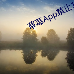 草莓App禁(jìn)止18