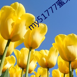 my51777蜜(蜜)芽(芽)