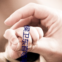 侯(hóu)卫东官场笔记(jì)全集(jí)