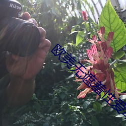 欧美无(無)遮羞(羞)性爱动漫视(視)频