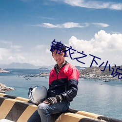 锦(錦)衣(衣)之下(下)小说(說)