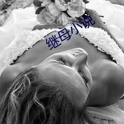 繼母小說