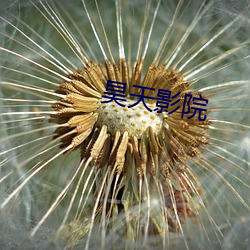 昊天影院